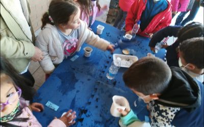 Un día en el huerto