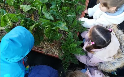 ¡Nos convertimos en hortelanos!