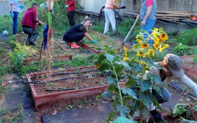 El Huerto del INFANTA: un proyecto en el que trabajamos todos.